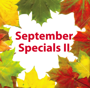 September Special Beauty Offers in Clintonville